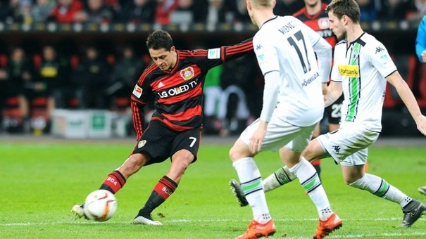 Nhận định Gladbach vs Leverkusen 01h30 ngày 24/8 (Bundesliga 2024/25). Hãy đến F8BET cá cược bóng đá .
